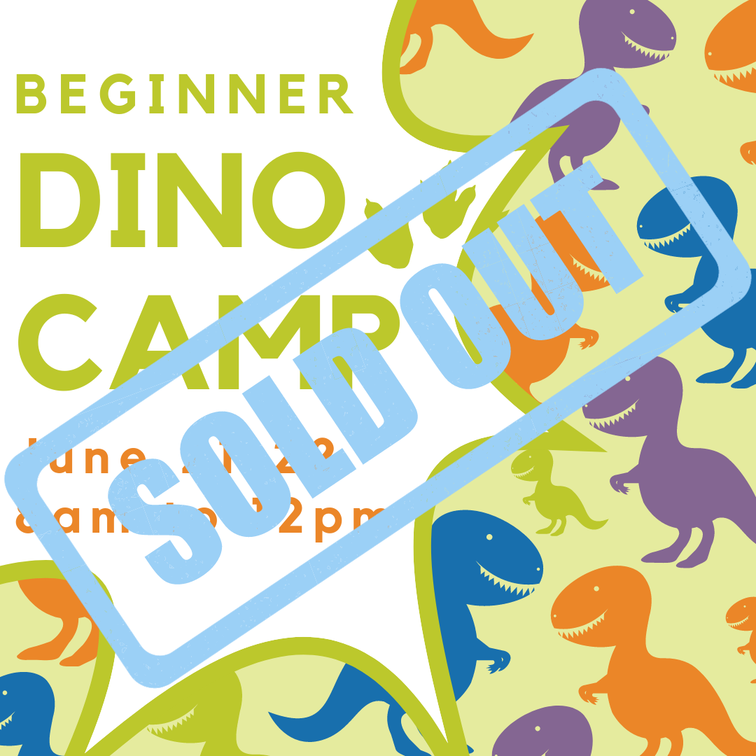 Beginner Dino Camp - 2021 -